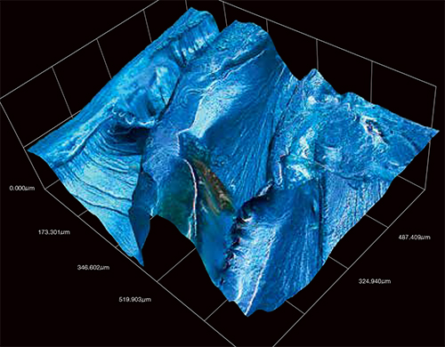 Risultati immagini per HIROX 3D DIGITAL MICROSCOPE BIOLOGY